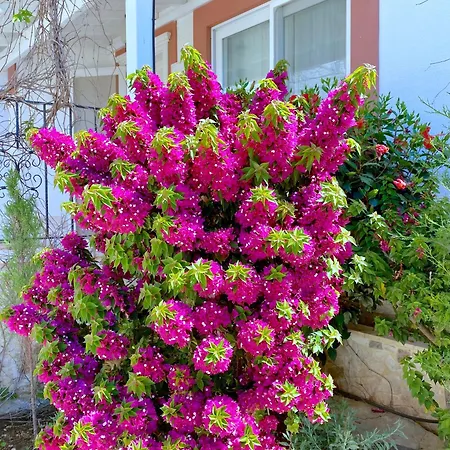 Akdeniz