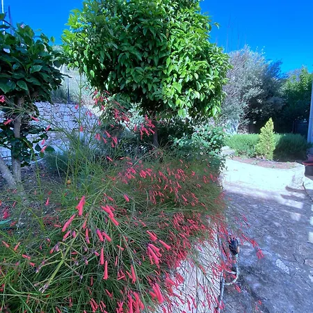 Akdeniz *
